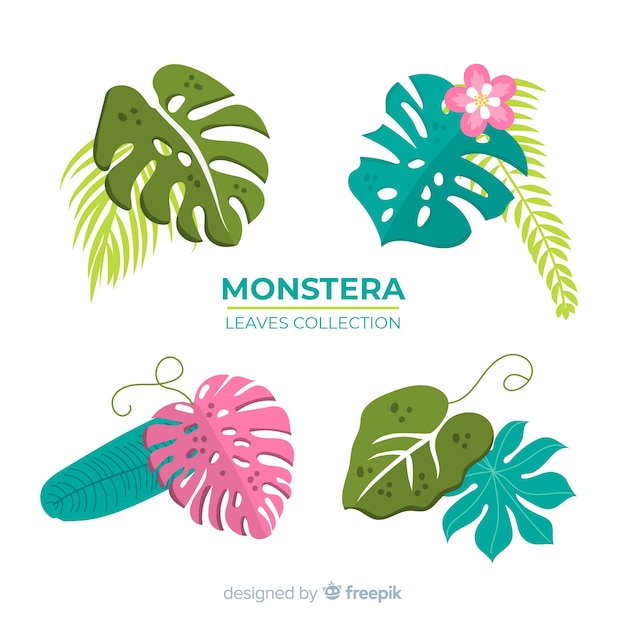 Vecteur gratuit collection de feuilles de monstera