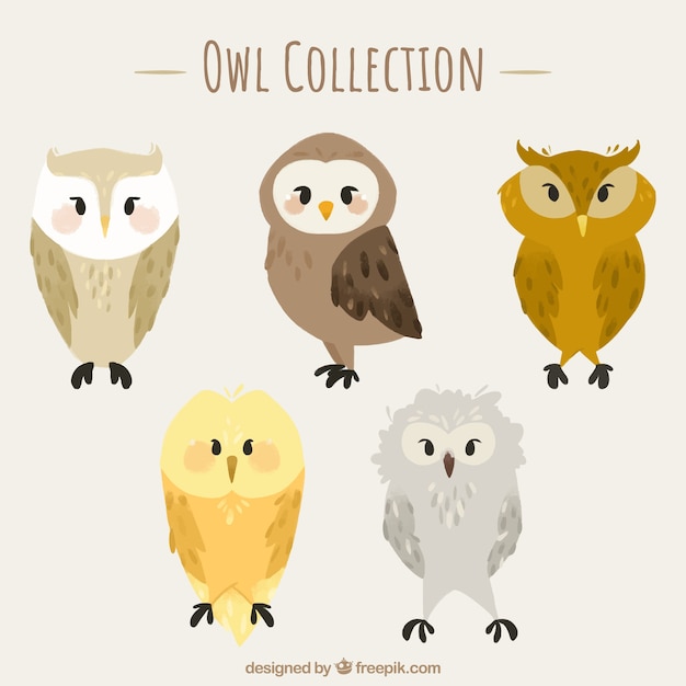 Vecteur gratuit collection de hibou plat