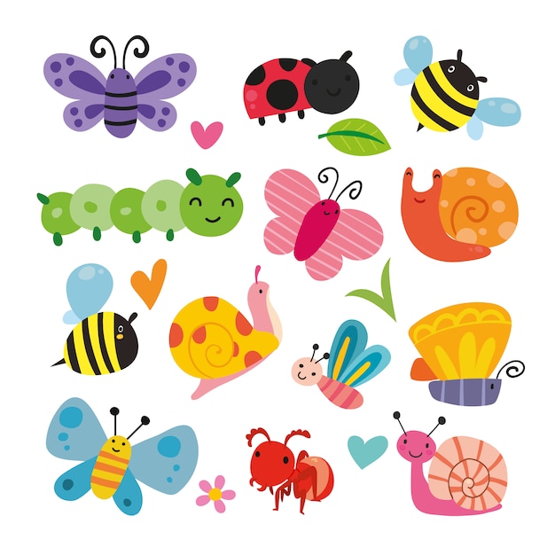 Collection d&#39;illustration d&#39;insectes