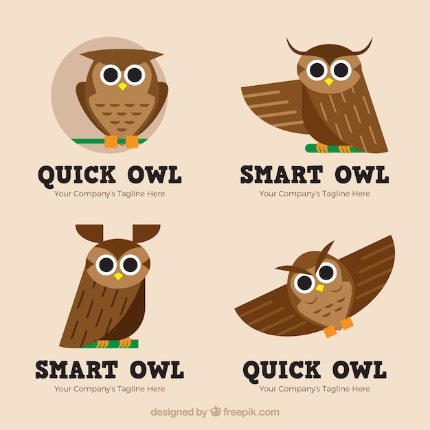 Vecteur gratuit collection de logo hibou mignon