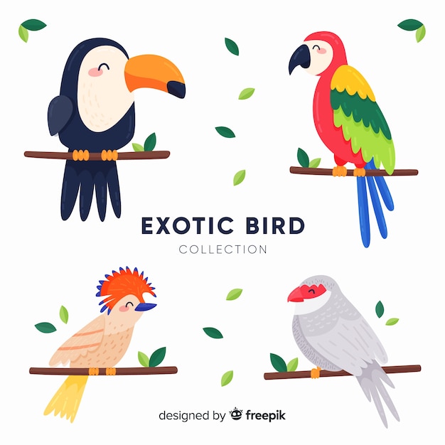 Vecteur gratuit collection d&#39;oiseaux exotiques plats