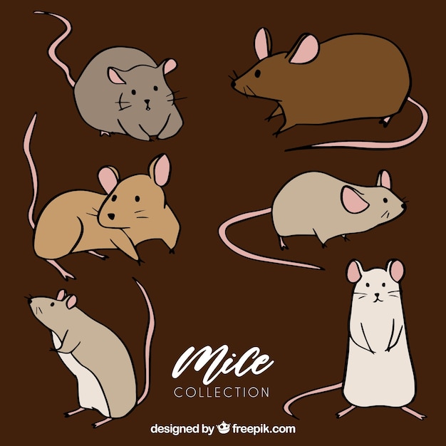 Vecteur gratuit collection de souris dessinés à la main