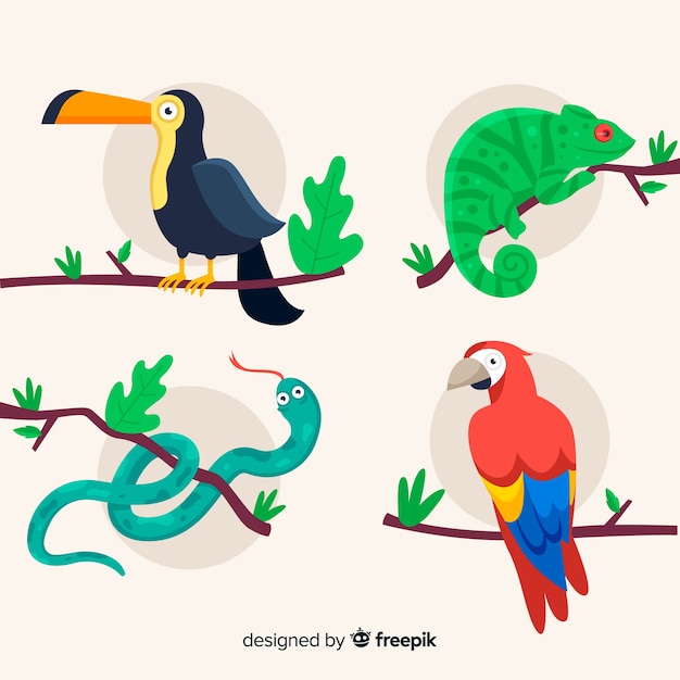 Vecteur gratuit design plat de collection d'animaux tropicaux