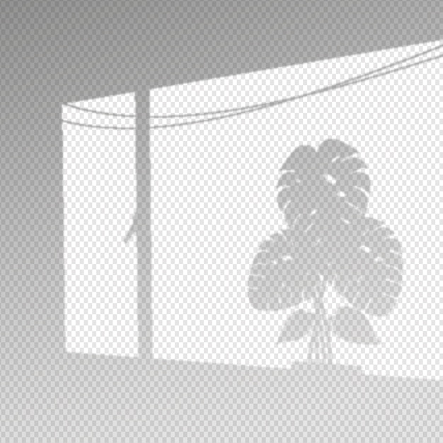 Vecteur gratuit effet de superposition d'ombres transparentes avec des feuilles de monstera