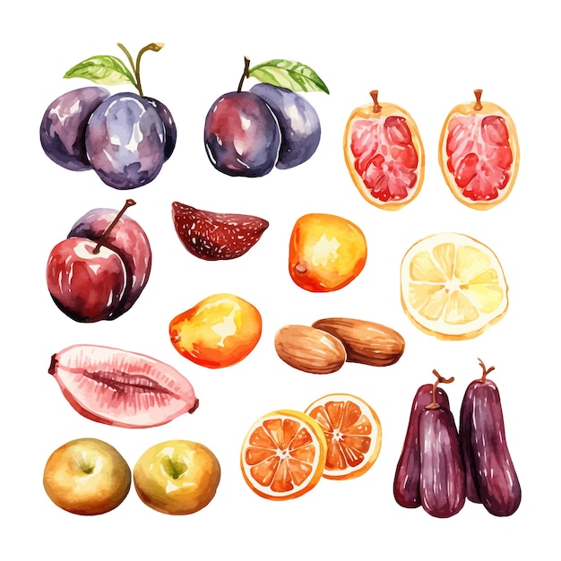 Vecteur gratuit ensemble d'aquarelles datant de fruits clipart à fond blanc