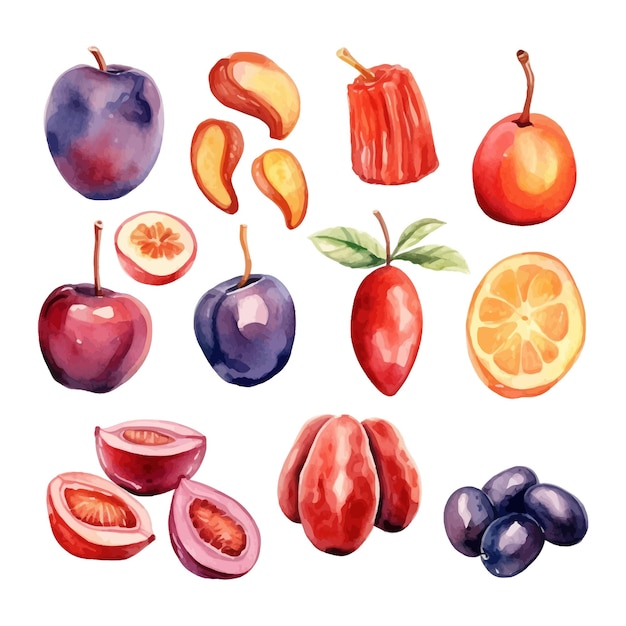 Vecteur gratuit ensemble d'aquarelles datant de fruits clipart à fond blanc