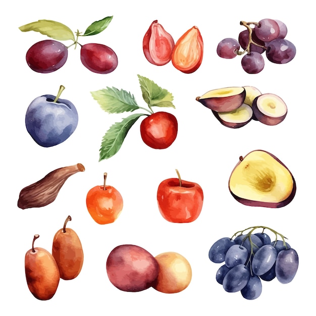 Vecteur gratuit ensemble d'aquarelles datant de fruits clipart à fond blanc