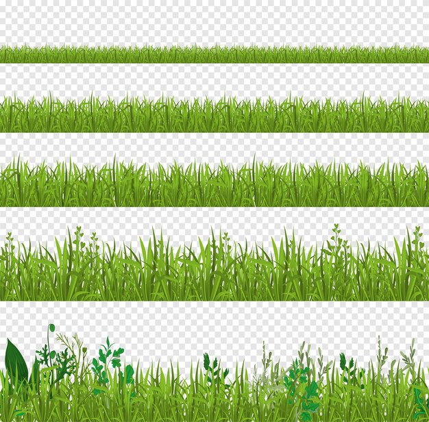 Ensemble d'herbe de vues latérales isolées de feuilles fraîches avec rangée détaillée isolée sur illustration vectorielle de fond transparent