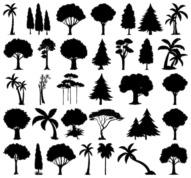 Ensemble de silhouette de plante et d'arbre