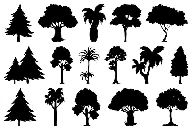 Ensemble de silhouette de plante et d'arbre