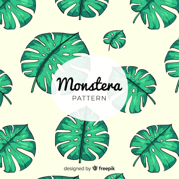 Vecteur gratuit feuilles de monstera