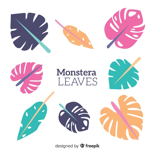 Vecteur gratuit feuilles de monstera