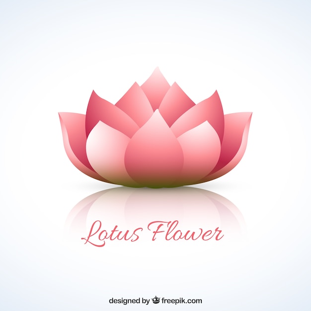 Vecteur gratuit fleur de lotus