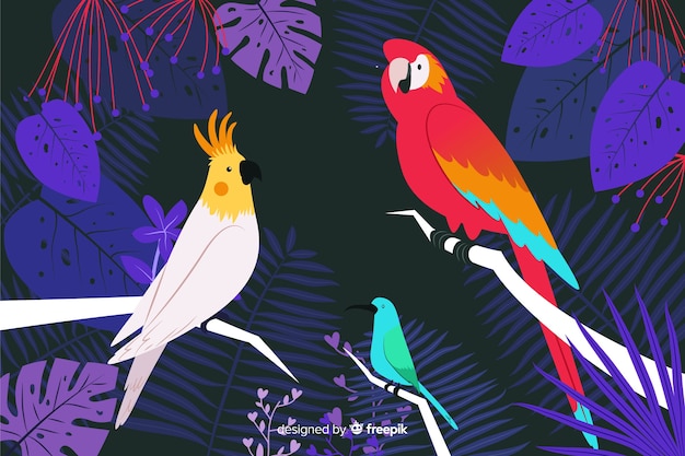 Vecteur gratuit fond d&#39;oiseaux et de feuilles tropicales dessinés à la main