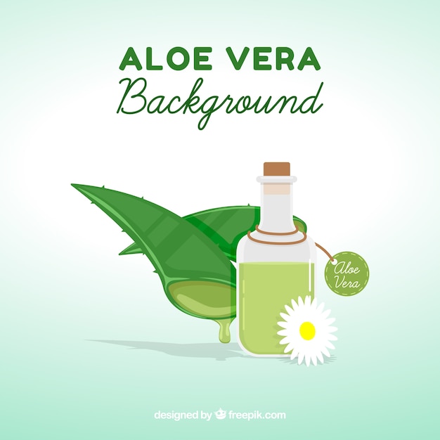 Fond de plat avec aloe vera