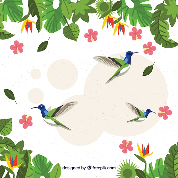 Vecteur gratuit fond tropical avec des oiseaux et des plantes