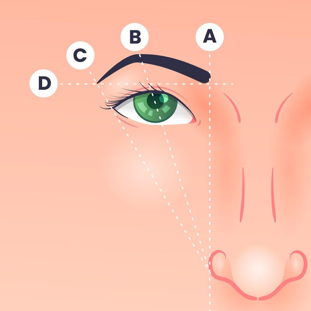 Illustration de la cartographie des sourcils en dégradé