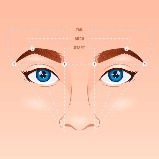 Illustration de la cartographie des sourcils dégradés