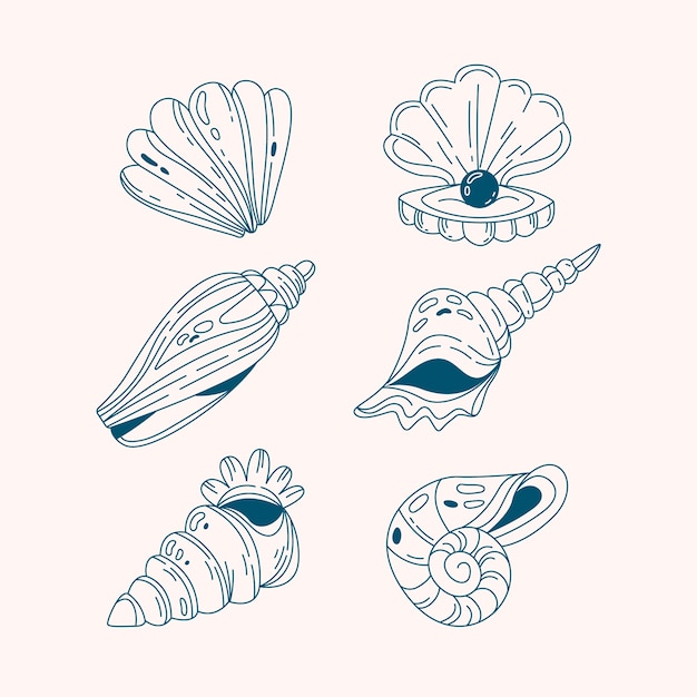 Vecteur gratuit illustration de contour de coquillage design plat