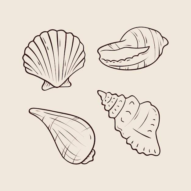 Vecteur gratuit illustration de contour de coquillage dessiné à la main