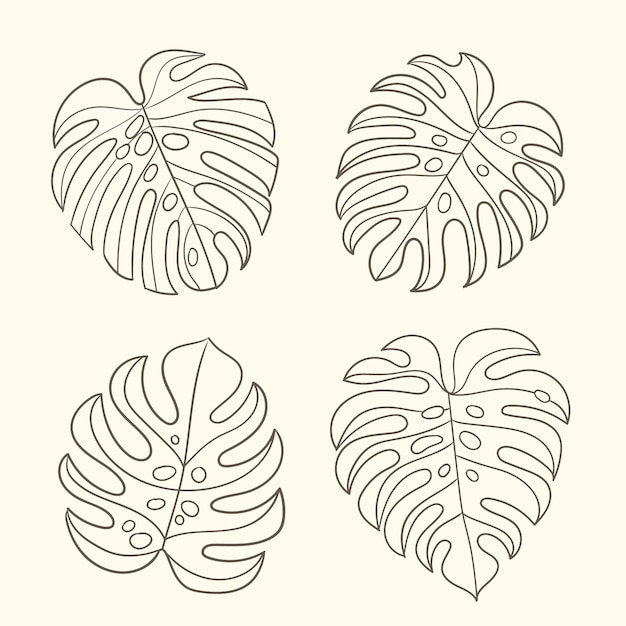 Vecteur gratuit illustration de contour de feuille de monstera dessinée à la main