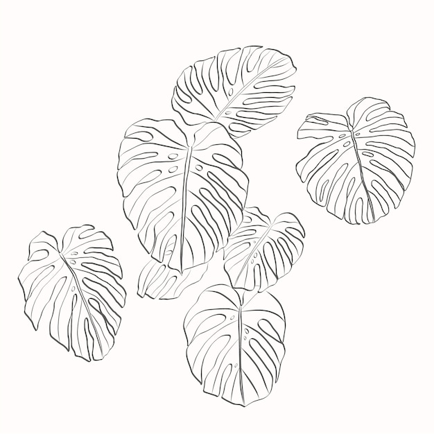 Vecteur gratuit illustration de contour de feuille de monstera dessinée à la main