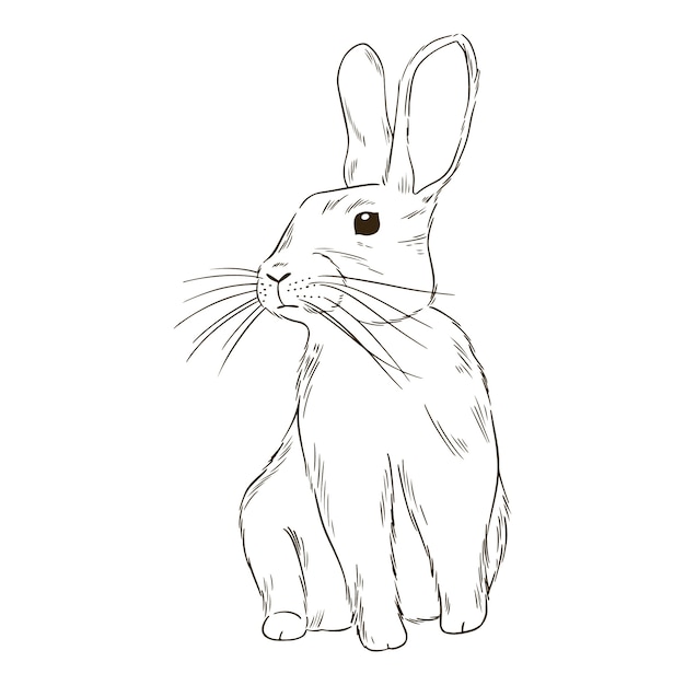 Illustration de contour de lapin dessiné à la main