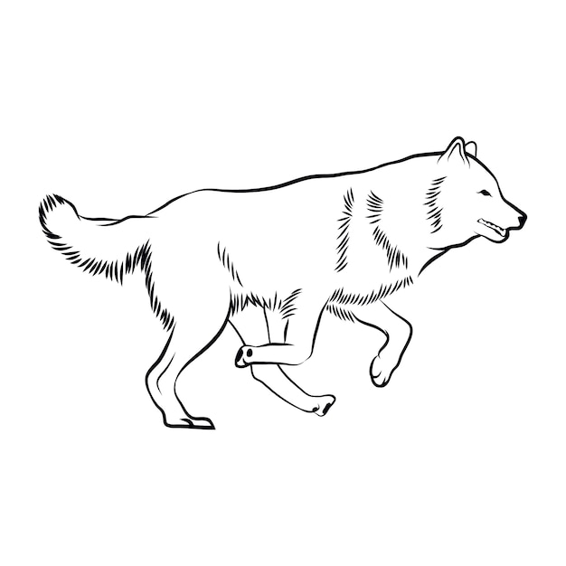 Illustration de contour de loup dessiné à la main