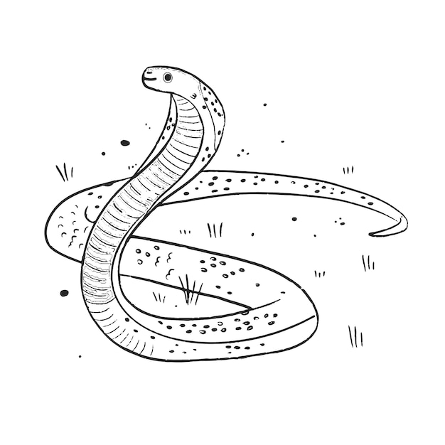 Vecteur gratuit illustration de contour de serpent dessiné à la main