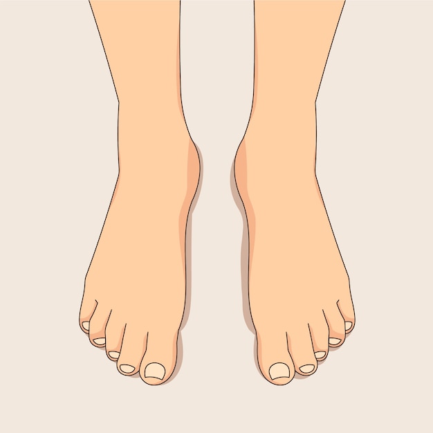 Vecteur gratuit illustration de dessin animé de pied dessiné à la main