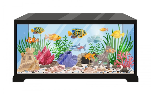 Vecteur gratuit illustration de dessin animé de réservoir d'aquarium