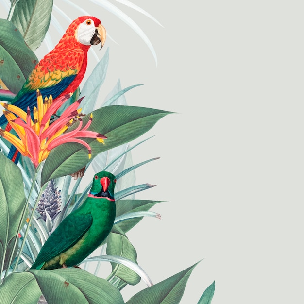 Illustration de maquette tropicale Macaw