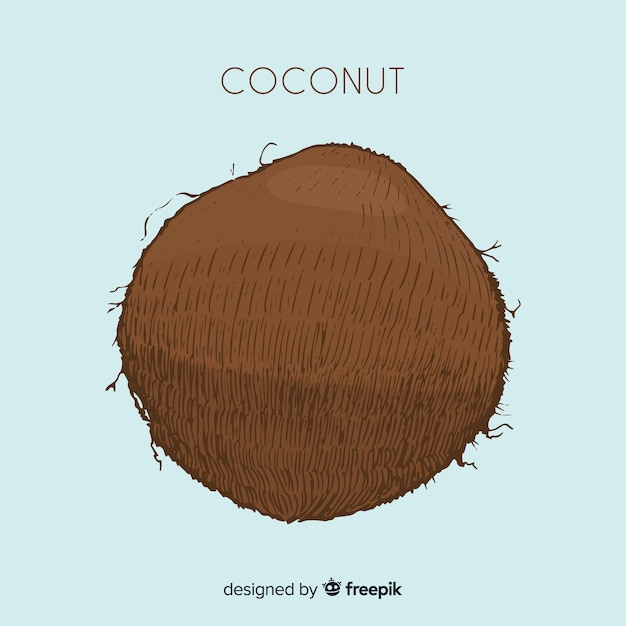 Vecteur gratuit illustration de noix de coco dessinés à la main