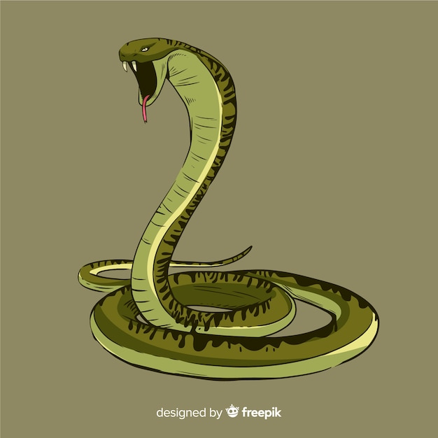 Vecteur gratuit illustration de serpent dessiné à la main