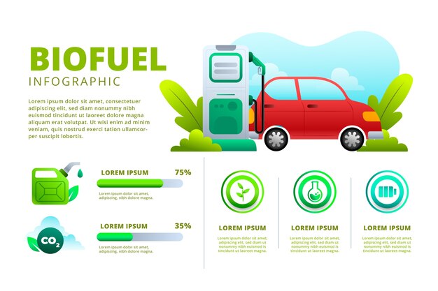 Infographie sur les biocarburants dégradés