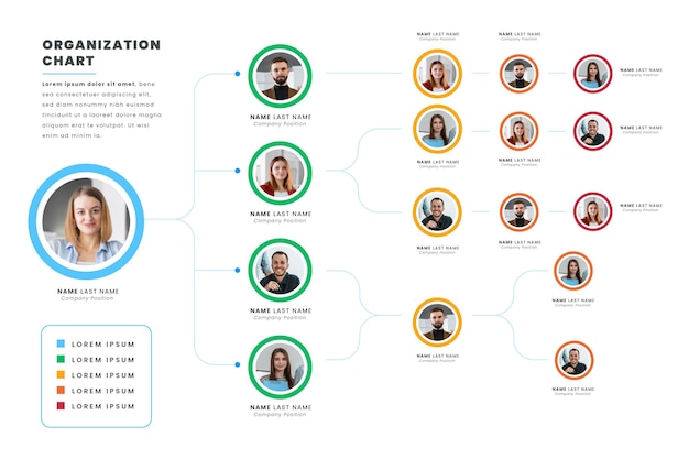 Infographie d'organigramme plat avec photo