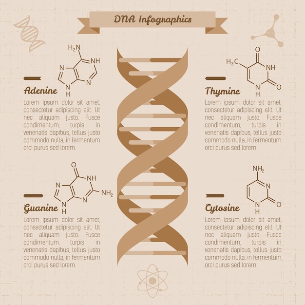 Vecteur gratuit modèle de conception d'infographie médicale vintage, vecteur