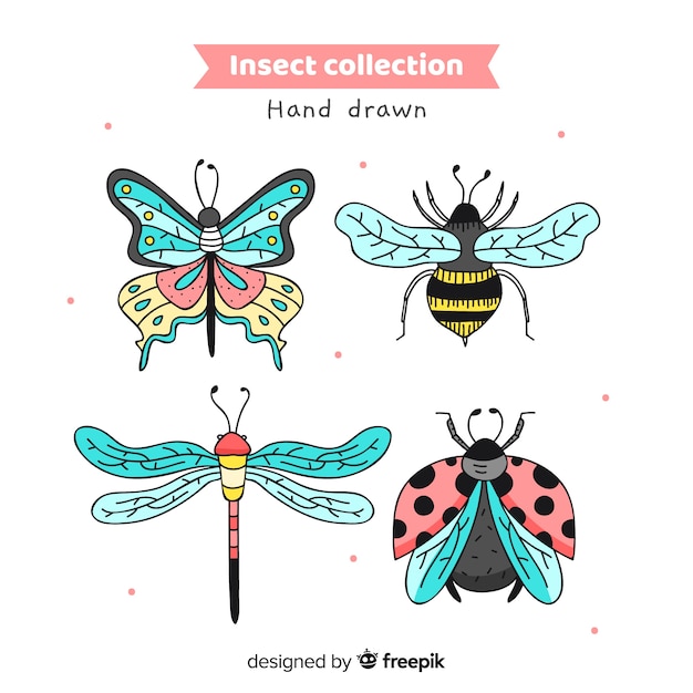 Vecteur gratuit pack d&#39;insectes colorés dessinés à la main