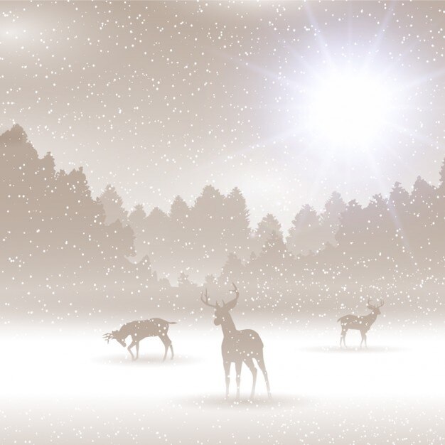 Paysage d&#39;hiver avec des cerfs