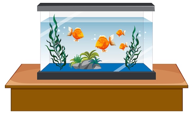 Vecteur gratuit réservoir d'aquarium avec des poissons d'or sur fond blanc