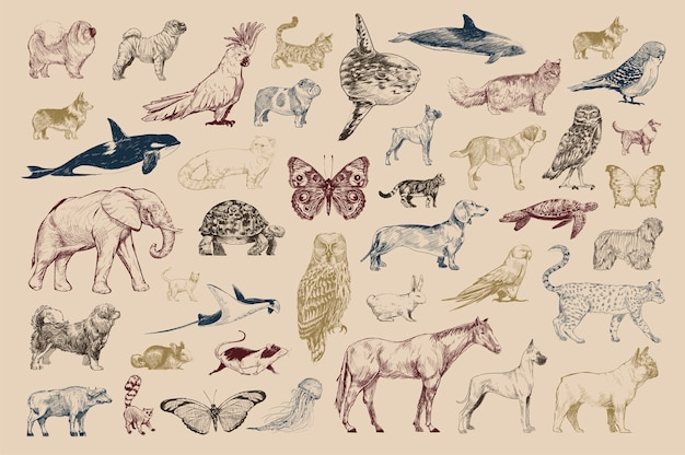 Vecteur gratuit style de dessin d&#39;illustration de collection d&#39;animaux