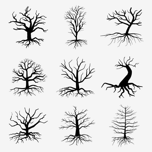 Vieux arbres sombres avec des racines. arbres forestiers morts. Illustration d'arbre mort silhouette noire