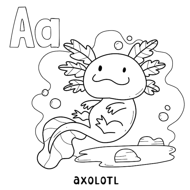 Alphabet animal axolotl à colorier avec mot dessin animé animal dessiné à la main