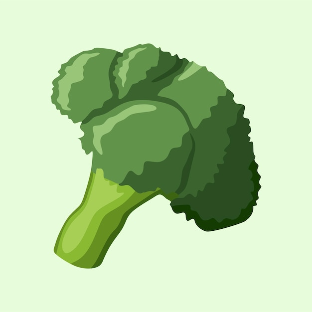 Vecteur le brocoli frais et vert brillant est un clip-art vectoriel