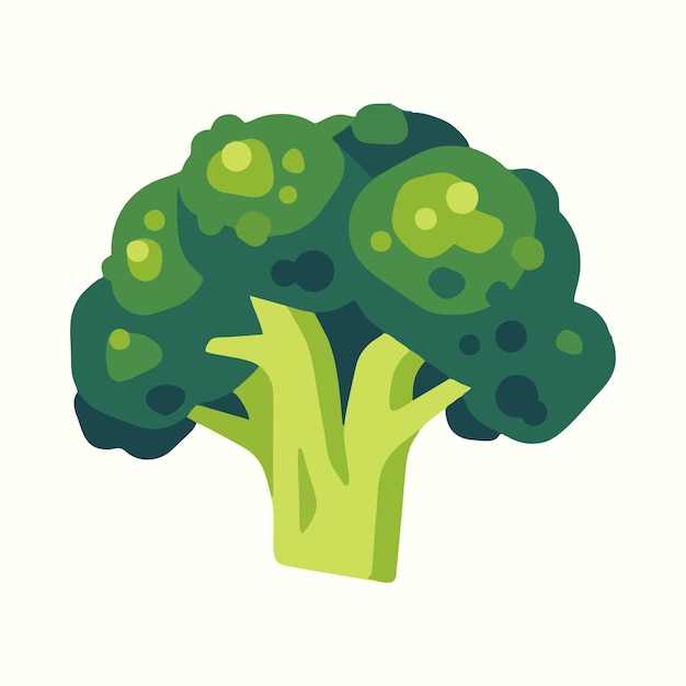 Vecteur brocoli de légumes verts frais icône de brocoli design plat concept d'aliments sains