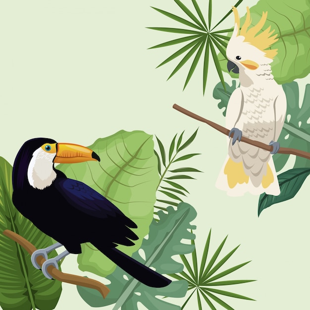 Cacatoès et toucan laisse une affiche tropicale