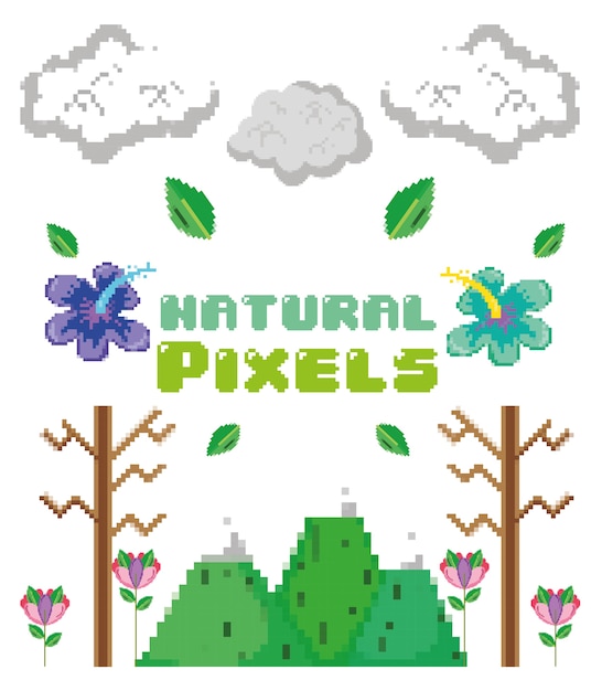 Caricatures de pixels naturels