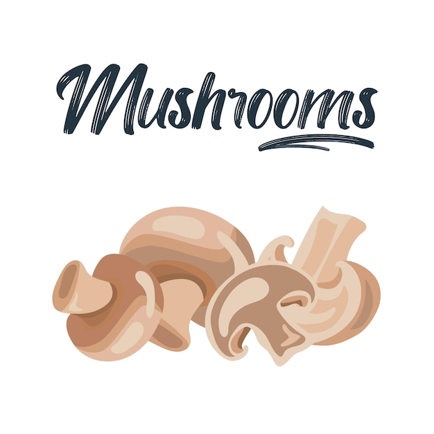 Champignon de dessin animé Tranches de champignons mûrs savoureux comestibles Ensemble d'illustrations vectorielles de champignons crus délicieux Champignon frais Champignon de légumes mûrs pour manger gastronomique végétarien