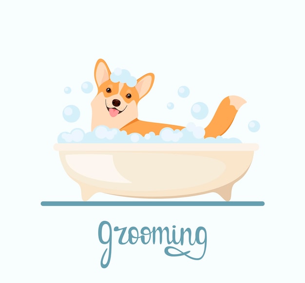 Chien drôle dans la salle de bain Corgi Cartoon design