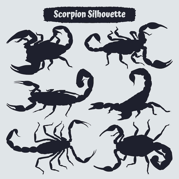 Collection d'animaux Scorpion Silhouette vecteur